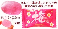 KANROカンロの味わい六選和風飴(梅味CANDY)