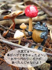ハゲ苺とカエルちゃん