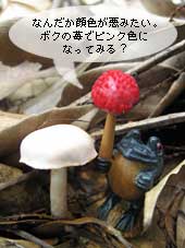 紅白きのこ合戦