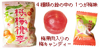 ライオン菓子桜梅桃季うめ味