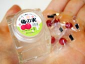 梅の実