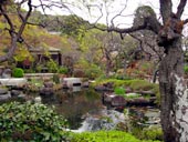 長谷寺のお庭