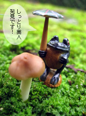 しっとりキノコさんとカエルちゃん