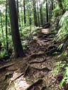 雨上がりの山道