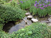 加茂菖蒲園の泉