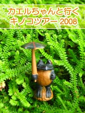 カエルちゃんと行くキノコツアー2008