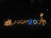 夜の動物園に行かNight