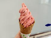 梅ソフトクリーム