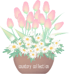 チューリップ（ピンク）