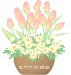 チューリップ（オレンジ）