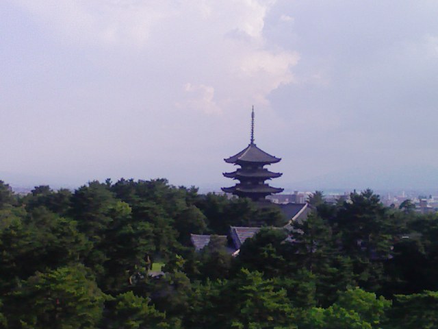 県庁の屋上（興福寺）