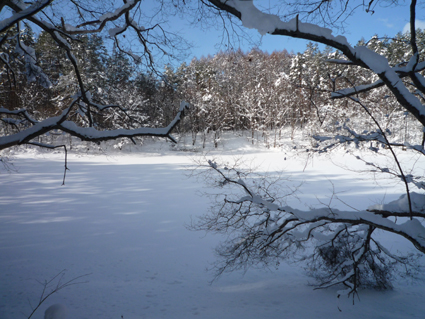 雪景色