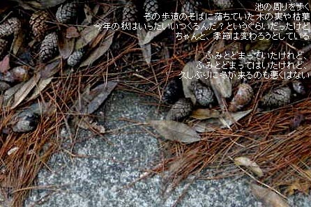 早朝お散歩