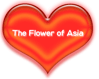 The Flower of Asia　メインサイトはこちらからｗ