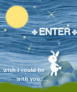 enter