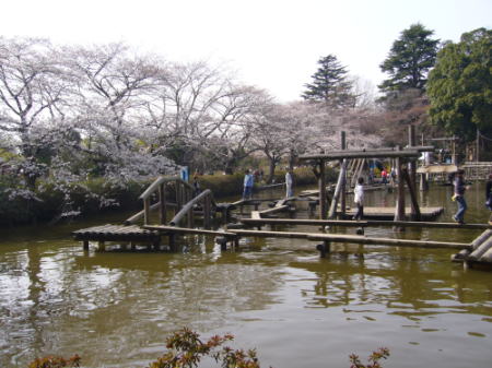 野田市　清水公園