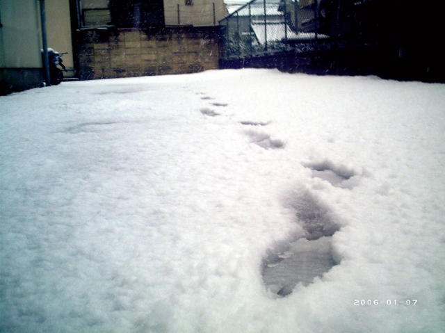 2008年2月9日　午後3時ごろ　雪マンション横