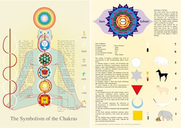 チャクラの図（白）
