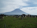 朝霧高原