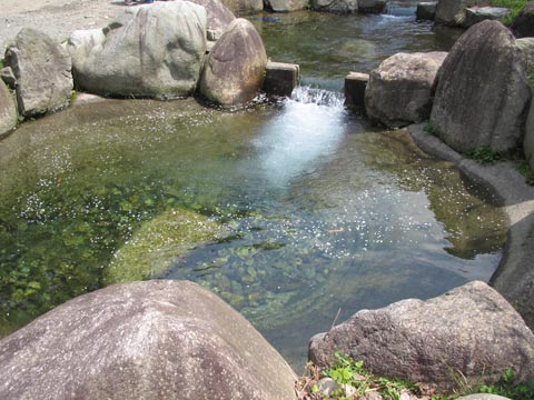 永源寺グリーンランド２