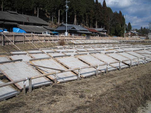 岐阜県恵那市山岡町の寒天干しの風景２