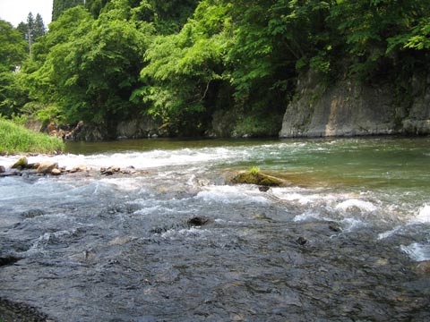 揖斐川上流