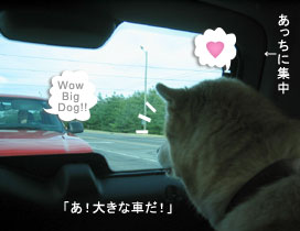 ooh big car