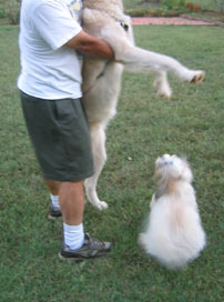 hug