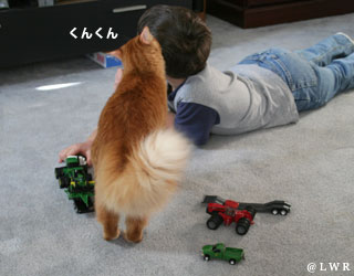 sniff sniff