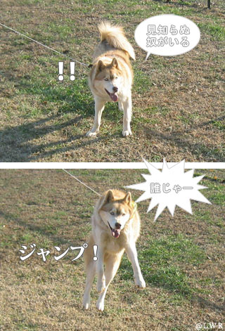 intruder