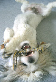upside down