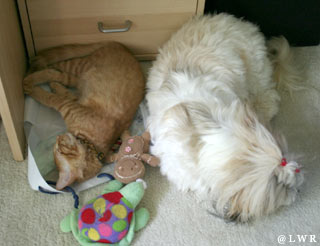 nap time