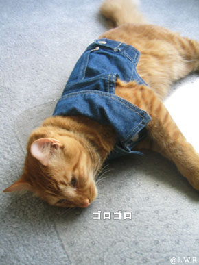 purrrrr