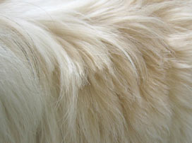 close up