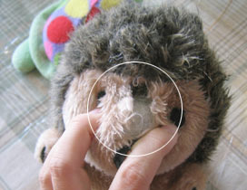 mole