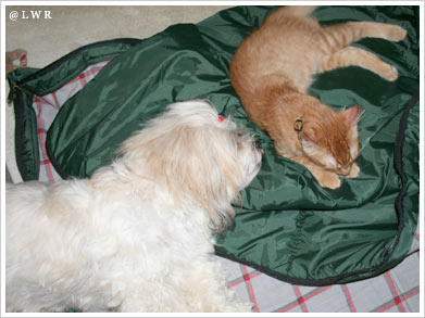 sleeping bag