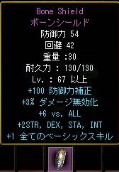 がんばって作った骨盾
