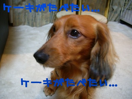 食べたいなぁ。