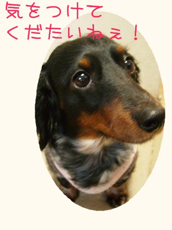 ほんとにさぁ...