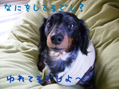 なんじゃそりゃぁ。