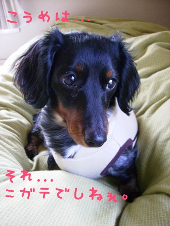 音がダメでしね。