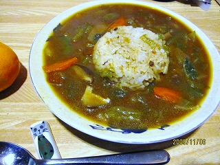 野菜スープカレー