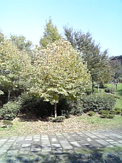 公園.1.jpg