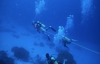 9ページ目の リサーチダイビング入門 スガジロウのダイビング 楽天ブログ