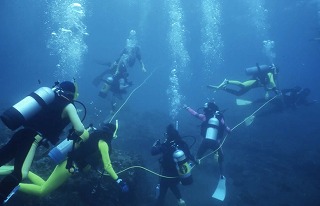 9ページ目の リサーチダイビング入門 スガジロウのダイビング 楽天ブログ