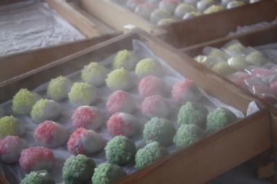 呉名物　いがもち