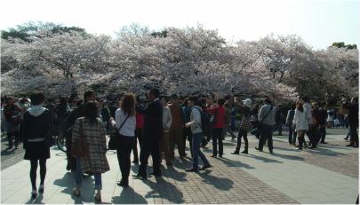 平日昼間の上野公園