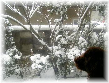 雪雪雪～