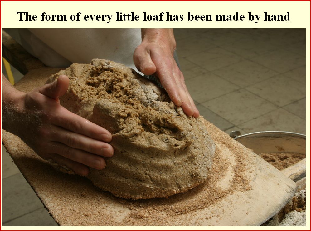 laci3.JPG