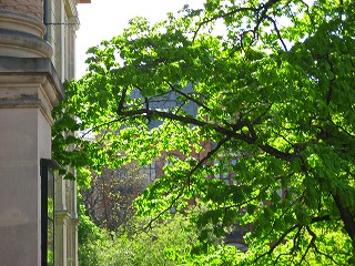080519_204924.jpg